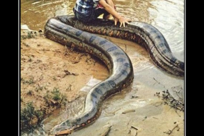 Наживка для рыбалки