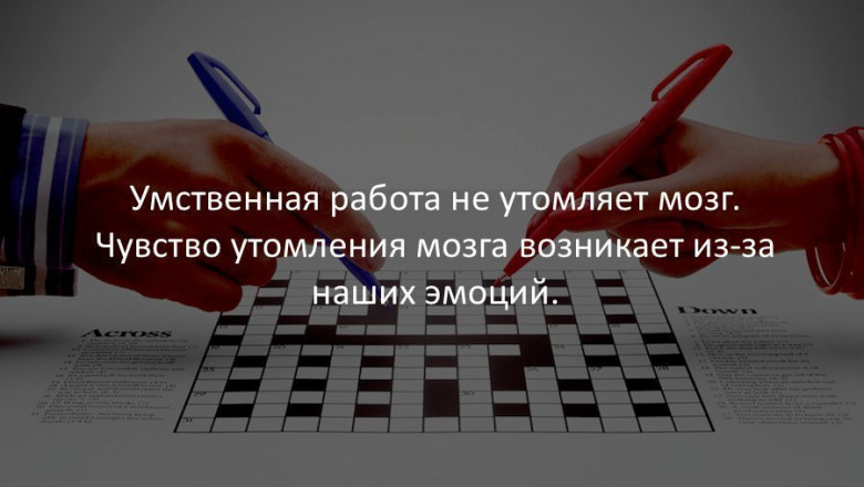 Занимательные факты 