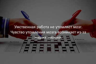 Занимательные факты 