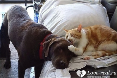 Иди сюда, я пожалею