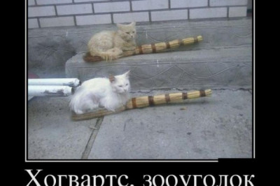 Хогвартс в России