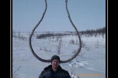 От судьбы не убежишь