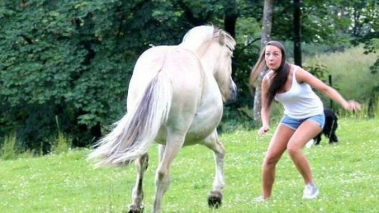 Остановленное мгновение перед неизбежным 