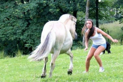 Остановленное мгновение перед неизбежным 