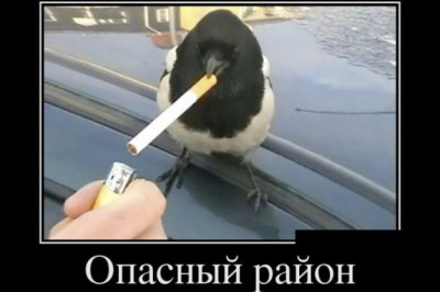 Опасный городской район