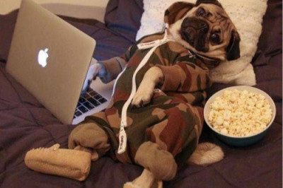 Работа, от которой редко устают