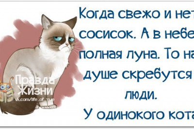 Смешарики в картинках 