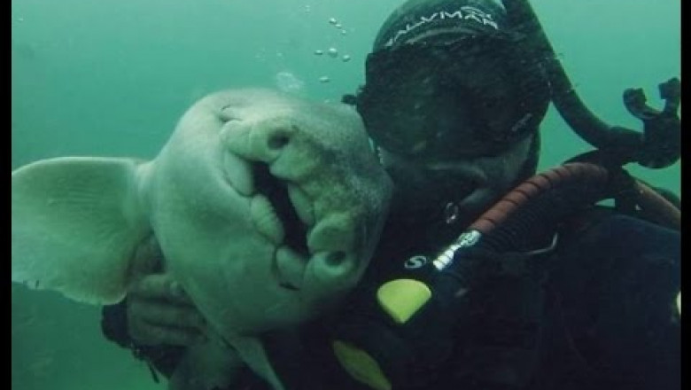 Любительница объятий 