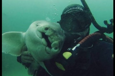 Любительница объятий 