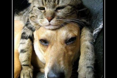 Позитив обеспечен 