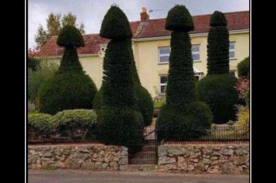 Вовремя плати садовнику