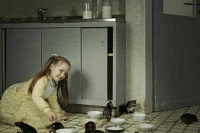 Милейшие  крыски 