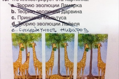 Неоспоримая детская  логика  