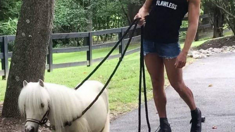 Ну , что тут скажешь !