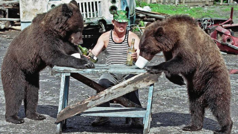 Весёлая живность 