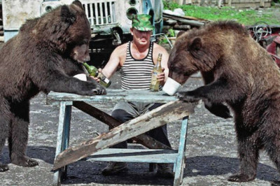 Весёлая живность 