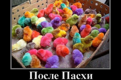 После светлого праздника 