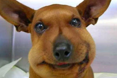 Последствия первого знакомства