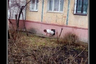 Ребят, на улице весна