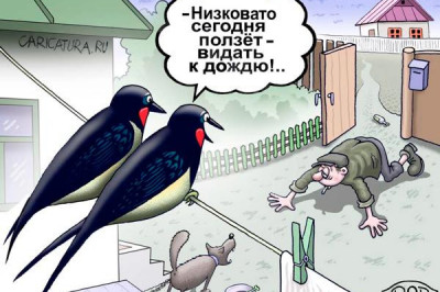 Погода сегодня могла быть и лучше...