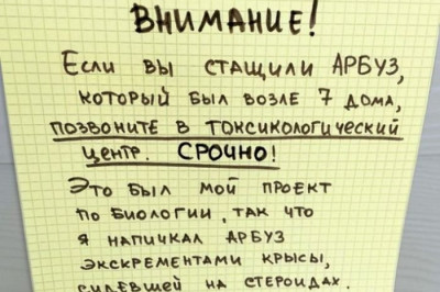 Нарастающий конфликт  можно избежать с помощью чувства юмора