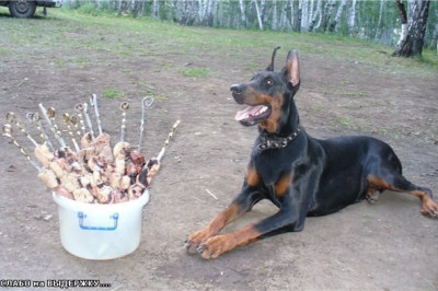 Как выглядит выдержка