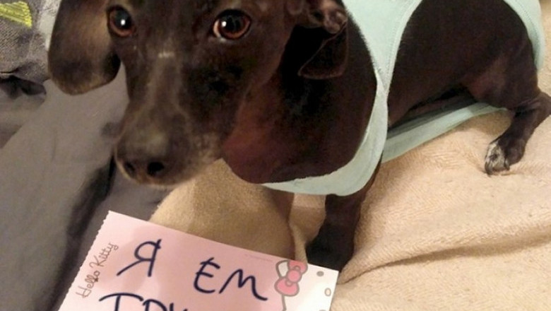 Подборка выходного дня 