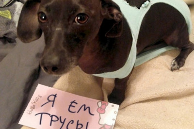 Подборка выходного дня 