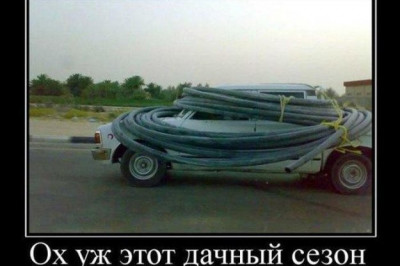 Дачный сезон в разгаре