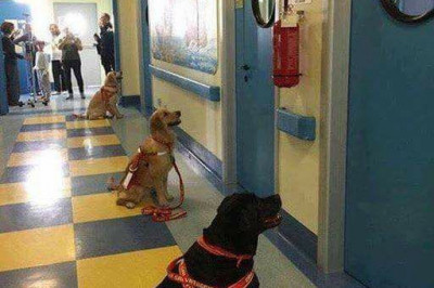 Детская больница в Италии 