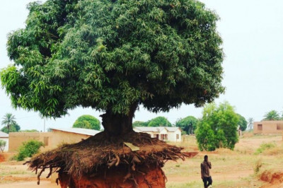 Потрясающие фотографии со всего света 