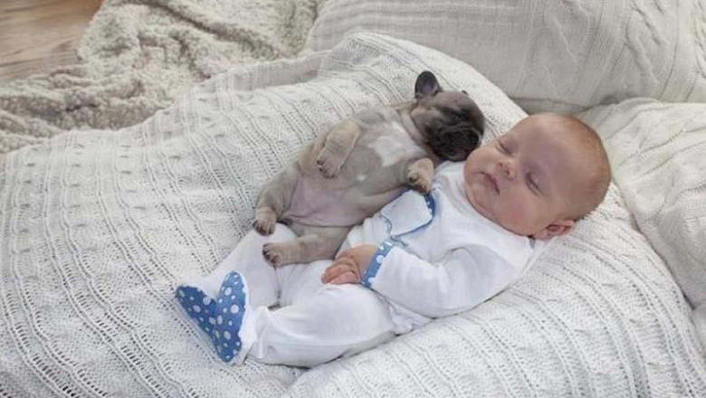 Умаялись лапочки за целый день