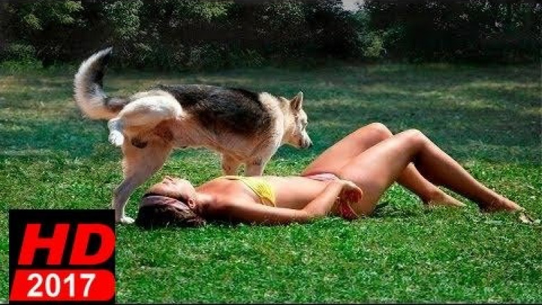 Падения  людей и животных 