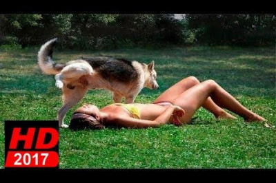 Падения  людей и животных 