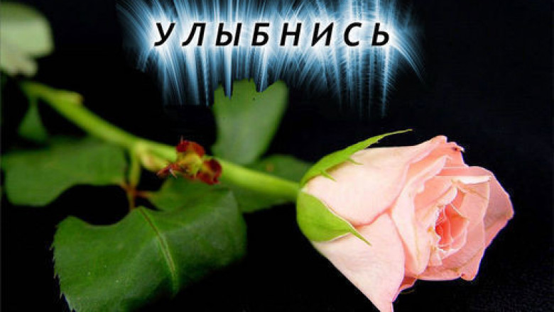 Улыбнитесь , жизнь прекрасна !