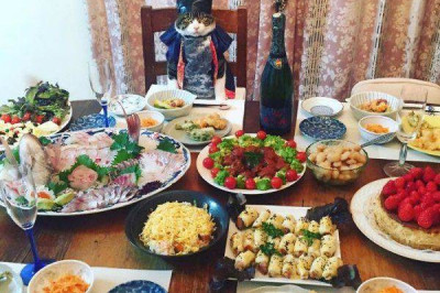 День рождения у кота