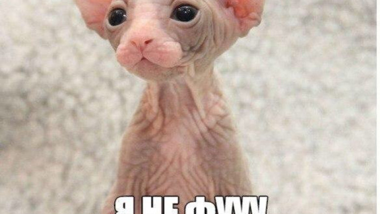 Если постоянно гнуть свою линию, то получится замкнутый круг