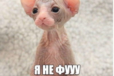 Если постоянно гнуть свою линию, то получится замкнутый круг