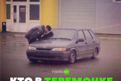 Кто в теремке живет