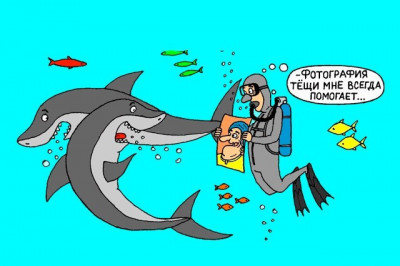 Теща спешит на помощь