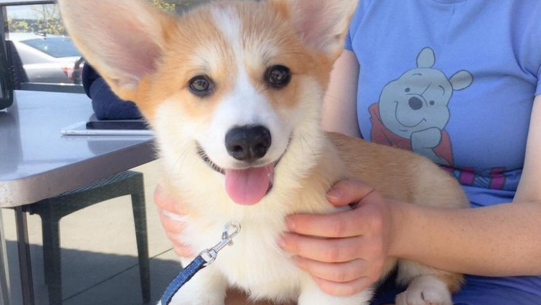 Всем доброго дня !