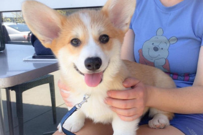 Всем доброго дня !