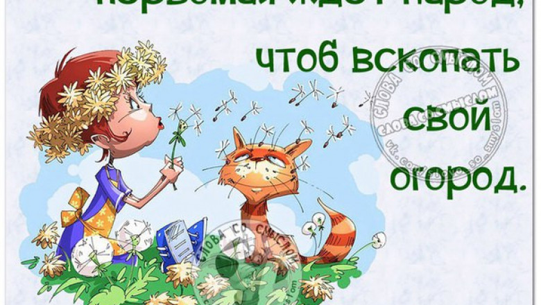 Предпраздничная подборка 