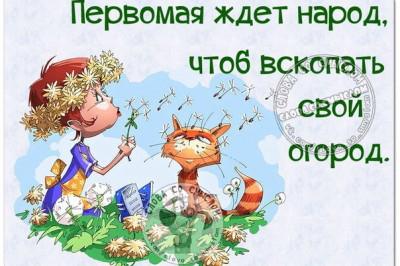 Предпраздничная подборка 