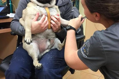 Ура ! Выходные !