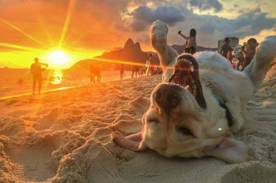 Вот оно 0 СЧАСТЬЕ !