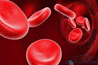 Не совместимость по крови