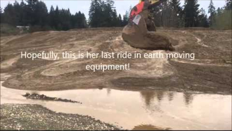 Спасение оленёнка 