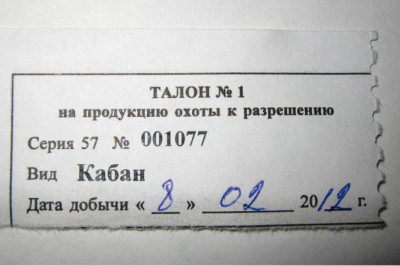 Лицензия на мужа