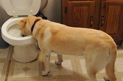 Насильное пробуждение